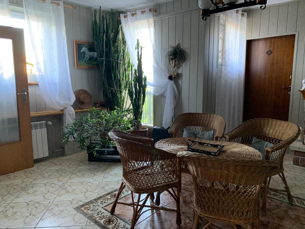 Pokoje Goscinne U Barbary Władysławowo Esterno foto